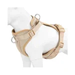 Verified image for post 294931