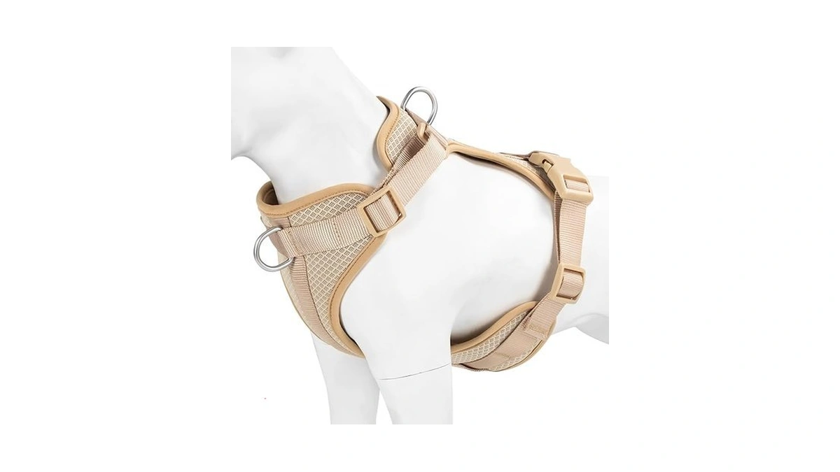 Verified image for post 294931