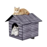 Verified image for post 294933