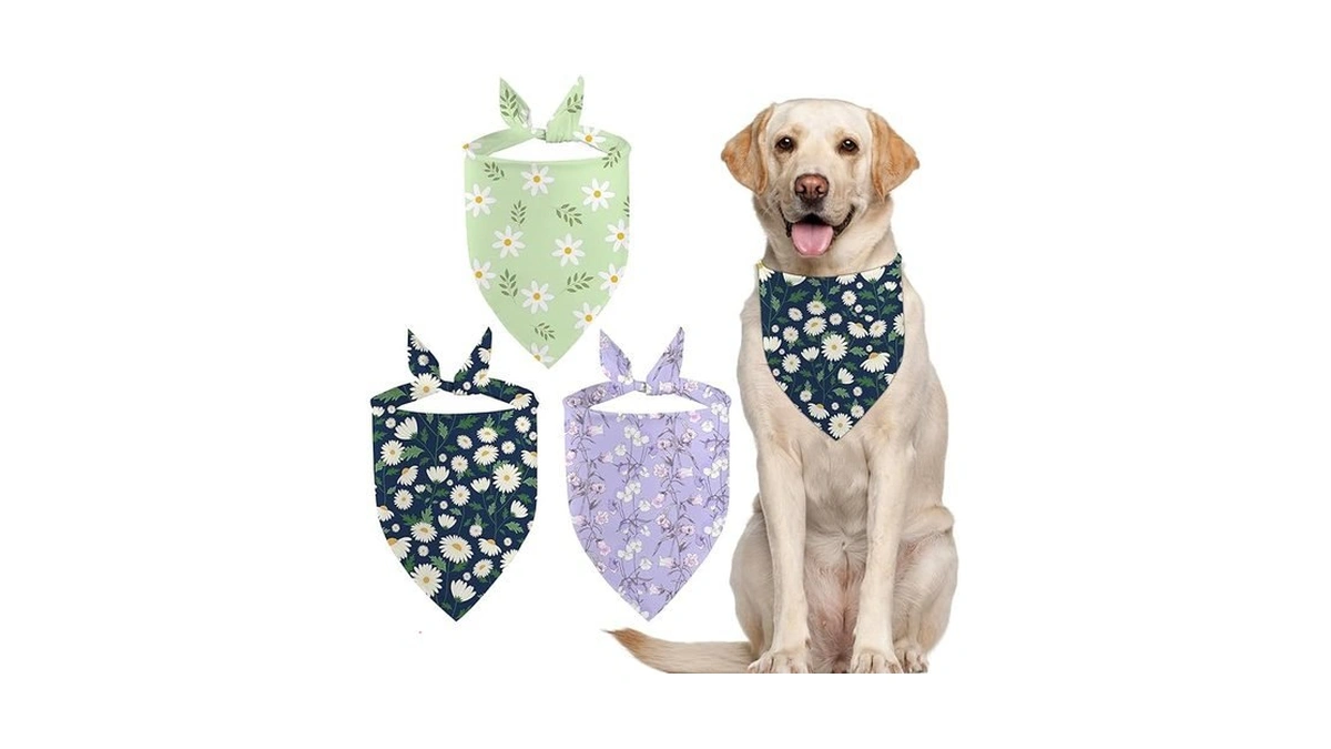 Verified image for post 295237