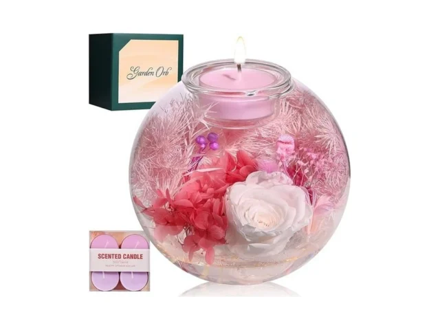 Aoshin Preserved Flowers Rose In Glass Dome With… Code