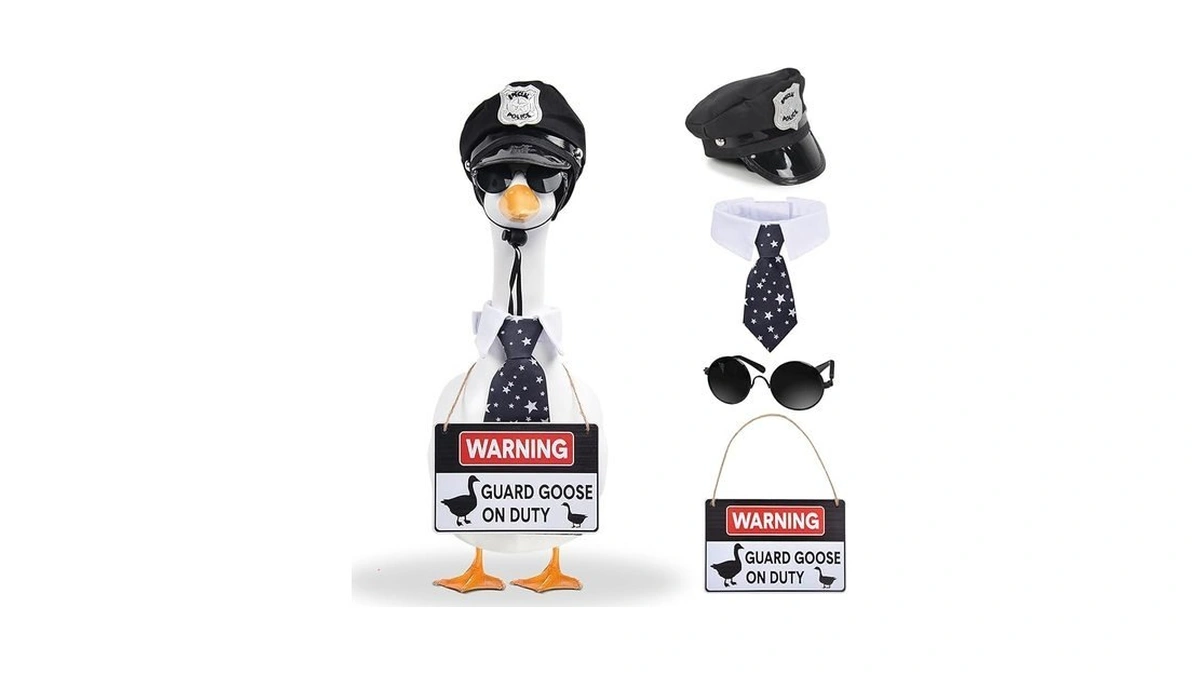 Verified image for post 295413