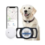 Verified image for post 295509