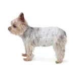 Verified image for post 295725