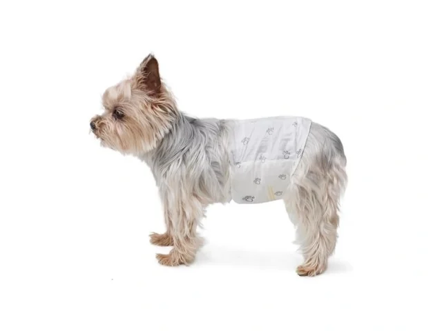 Amazon Basics Super Absorbent Male Dog Diapers… Coupon