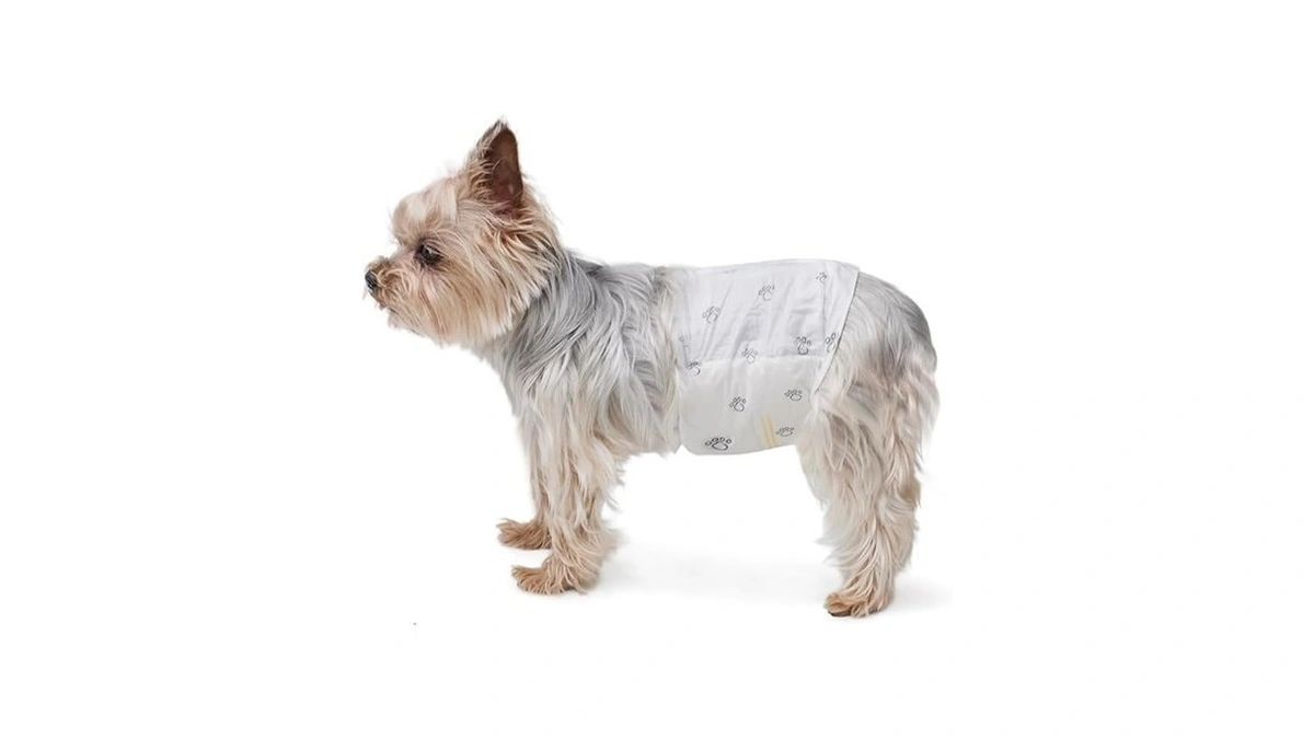 Verified image for post 295725