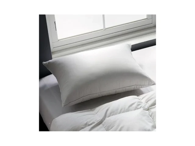 Globon Queen Size Firm Down Feather Pillow Hotel… Code