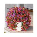 Verified image for post 295819