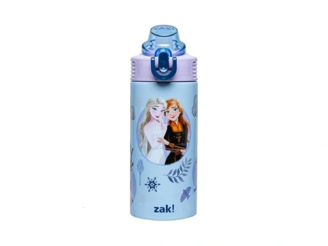 Zak Designs Disney Frozen Sage Kids Water Bottle… Coupon