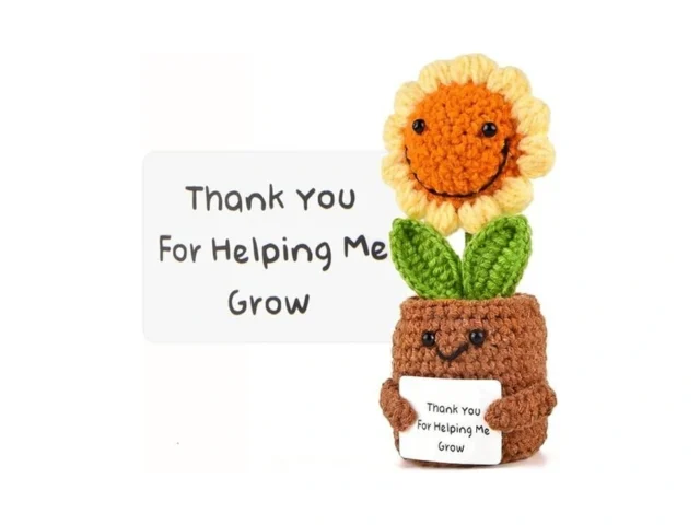 Teacher Appreciation Gifts Handmade Positive… Code