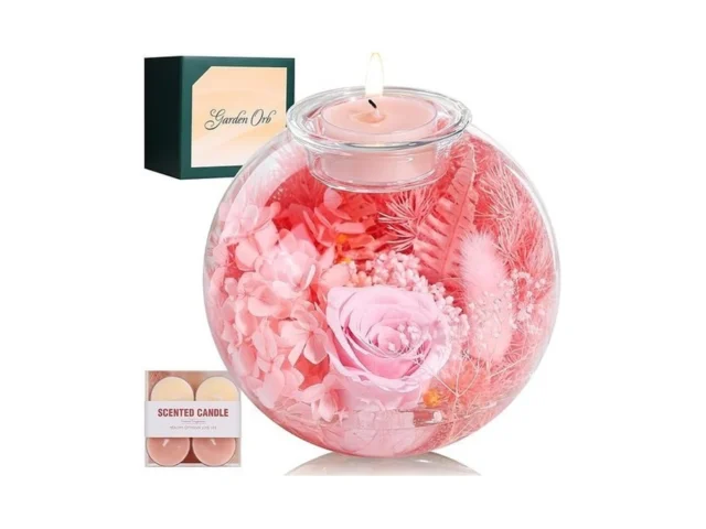 Aoshin Preserved Flowers Rose In Glass Dome With… Code