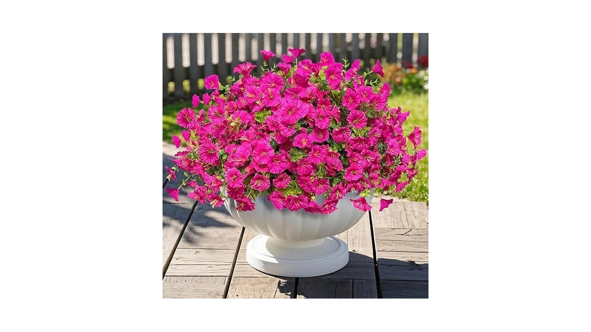 Verified image for post 296427