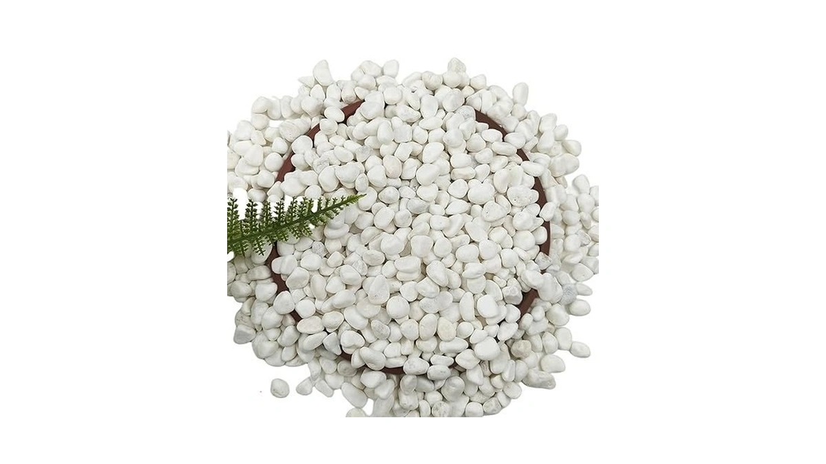 Verified image for post 296451