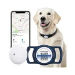 Verified image for post 296725