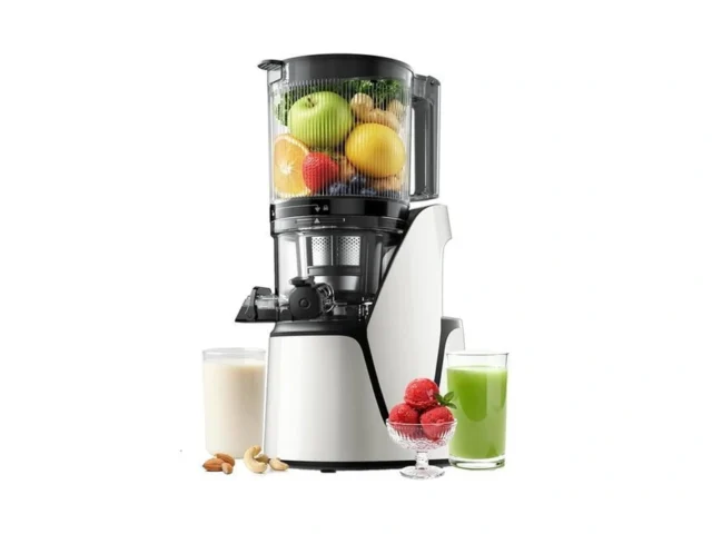 Eanoruus Slow Juicer 3-in-1 Masticating Juicer With… Code