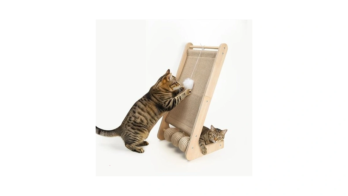 Verified image for post 297283