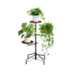 Verified image for post 297411