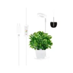 Verified image for post 297757