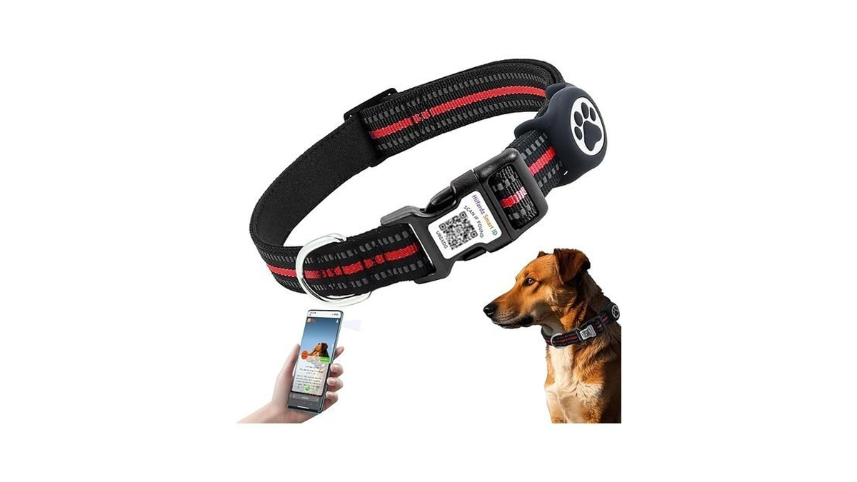 Verified image for post 297807