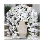 Verified image for post 297899