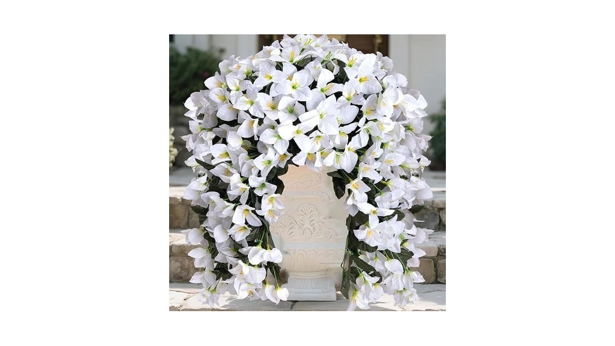 Verified image for post 297899