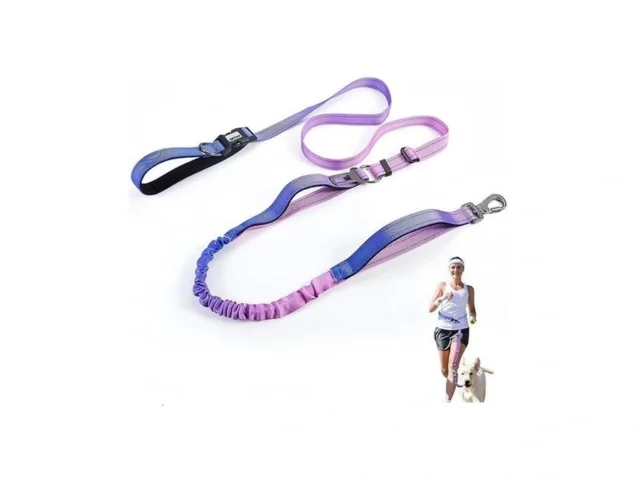 Jetog Heavy Duty Hands Free Dog Leash 5-7 Ft… Code