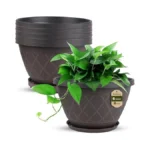 Verified image for post 298579