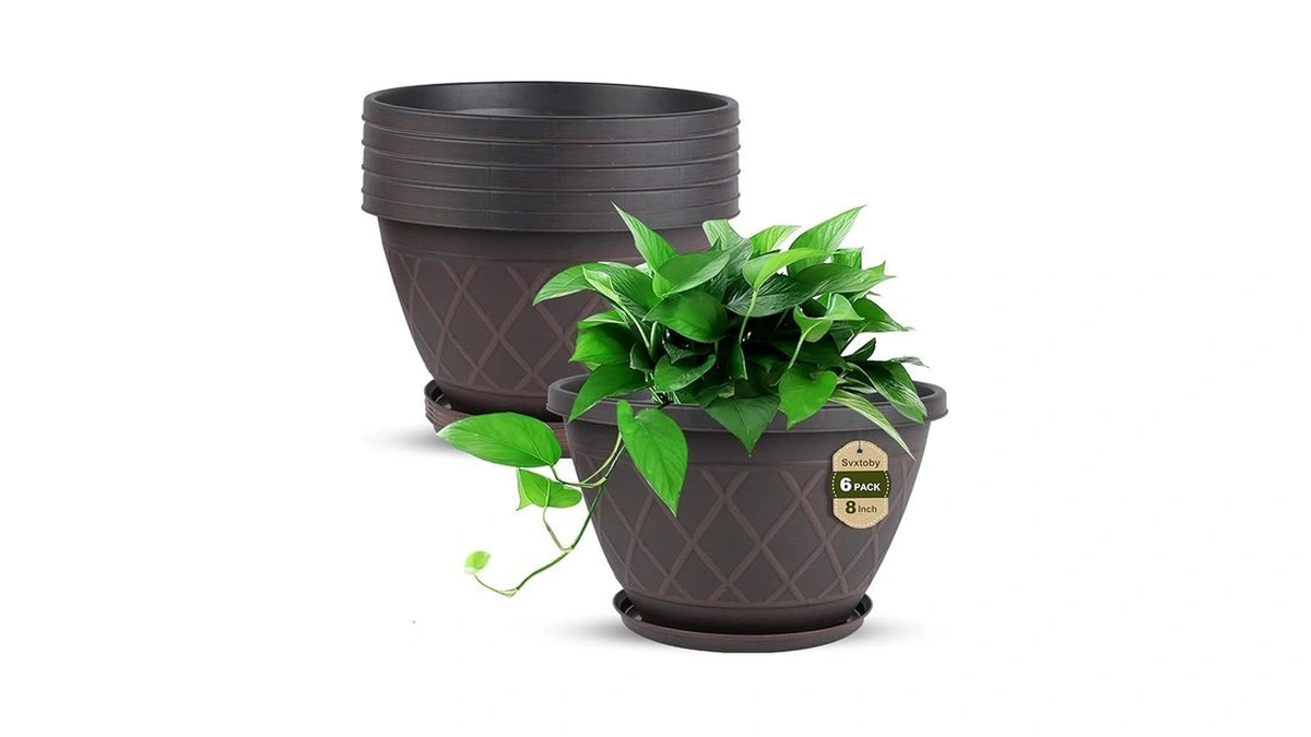 Verified image for post 298579