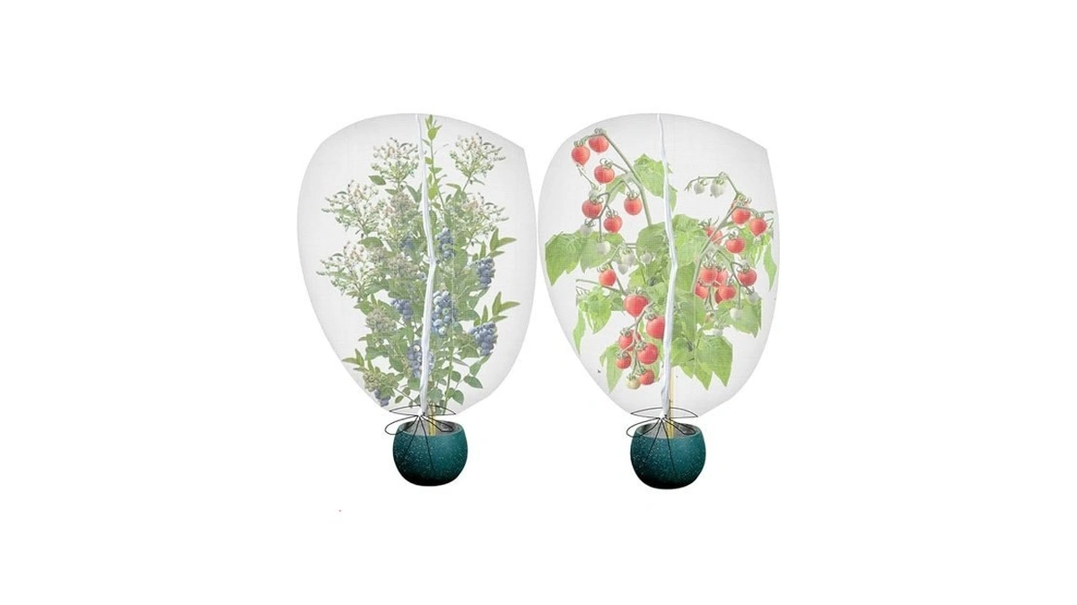 Verified image for post 298615