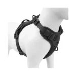 Verified image for post 298671