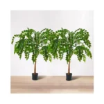 Verified image for post 299091