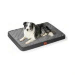 Verified image for post 299105