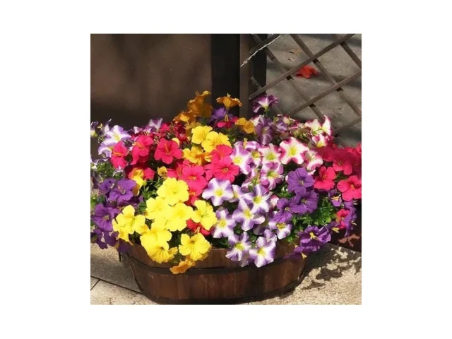Vemander Artificial Flowers For Outdoors Fake… Code