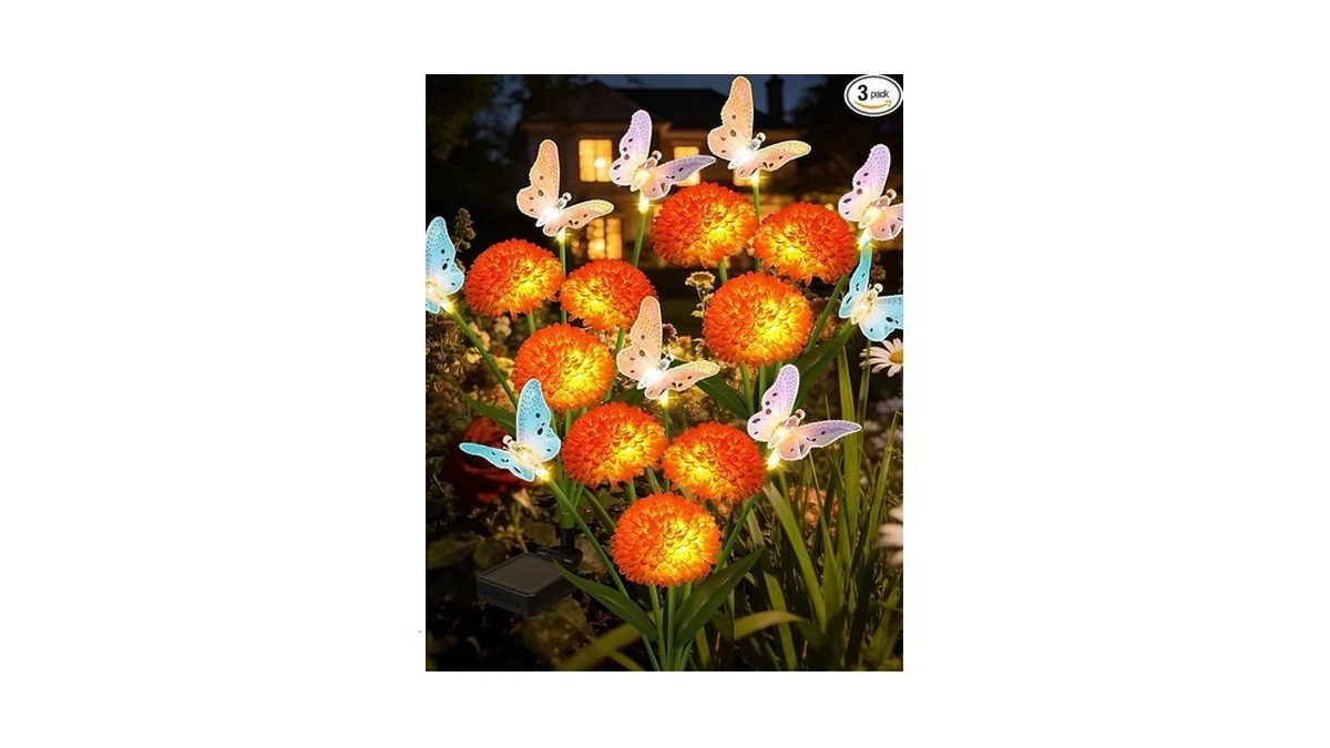 Verified image for post 299269