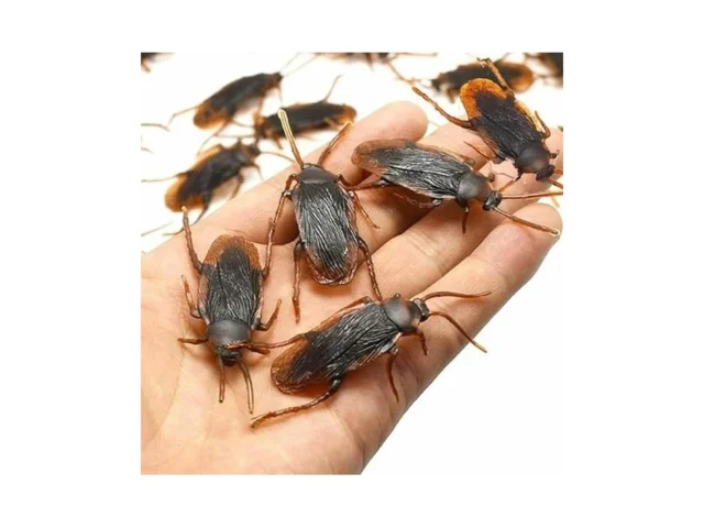 Waiforu Prank Fake Roaches Model Fake Rubber… Code