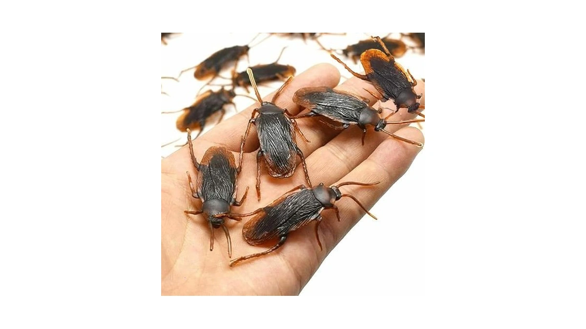 Verified image for post 299321