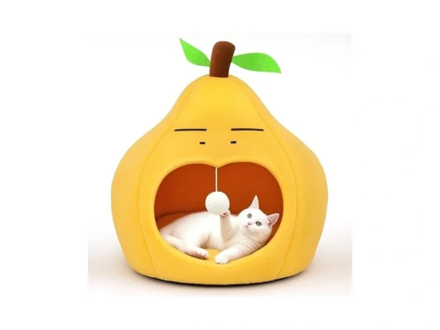 Moymo Cute Cat Beds For Indoor Cats Small Dog Beds… Code