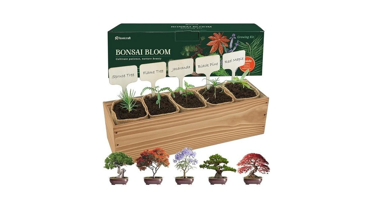 Verified image for post 299767