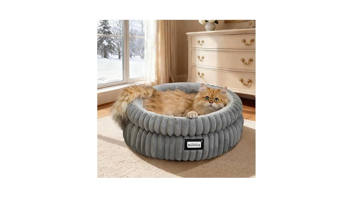 Verified image for post 299773