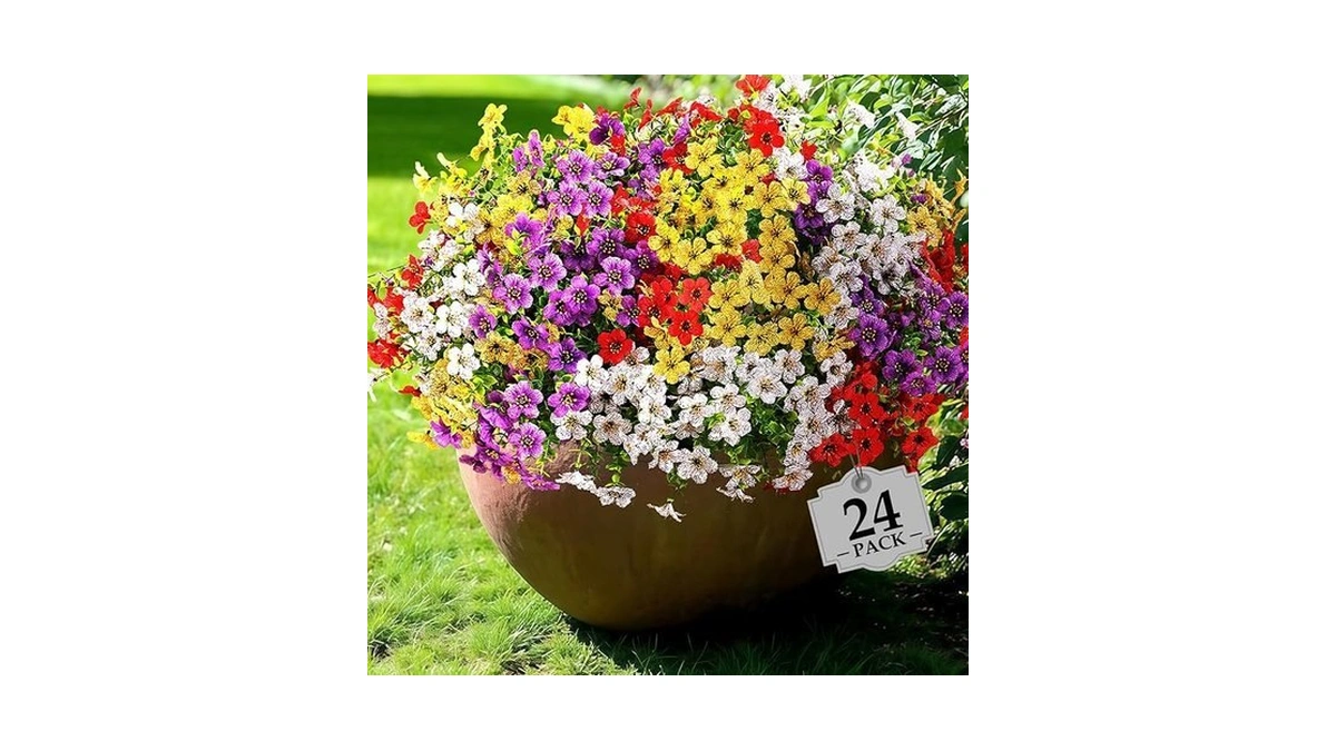 Verified image for post 300281