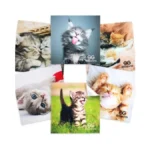 Verified image for post 300363