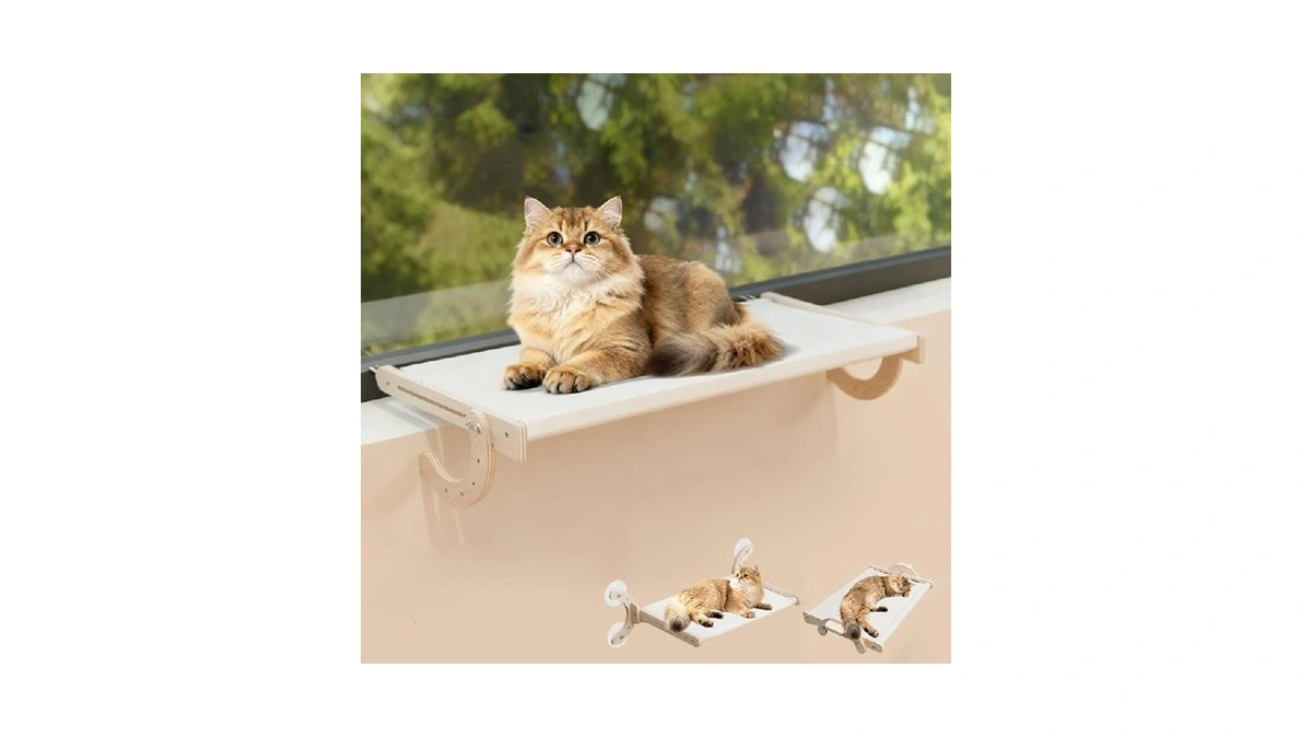 Verified image for post 300591