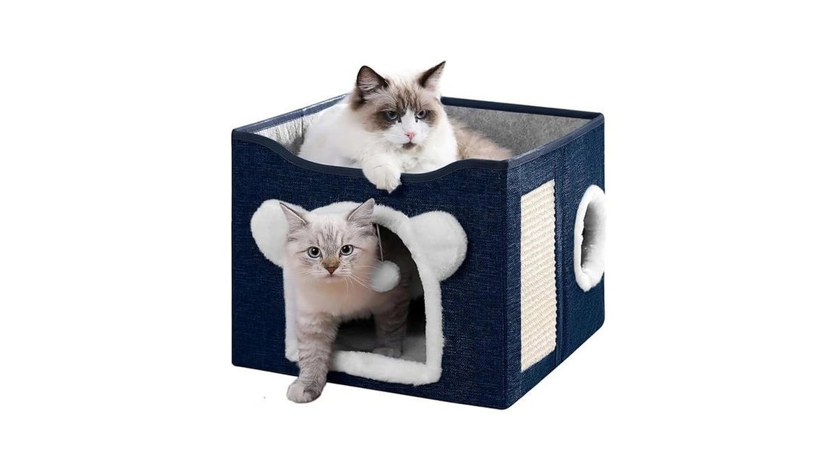 Verified image for post 300999