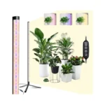 Verified image for post 301731