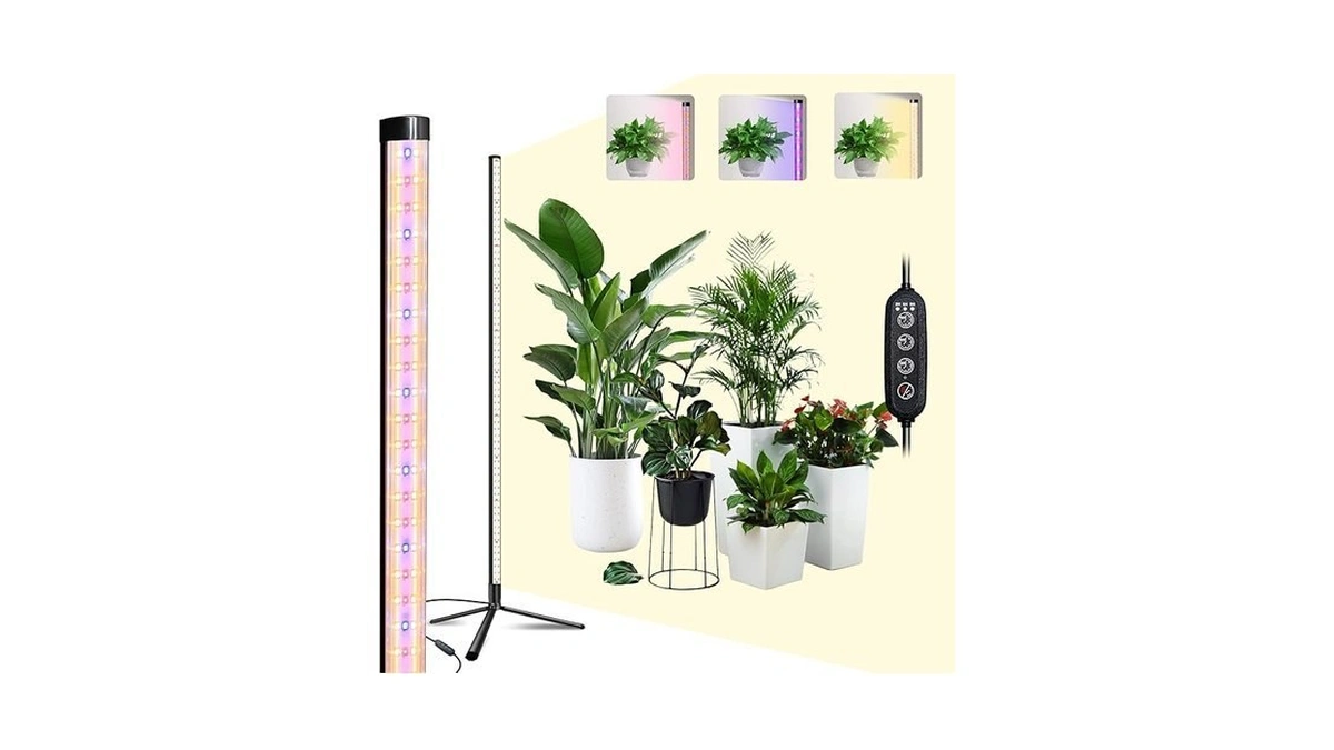 Verified image for post 301731