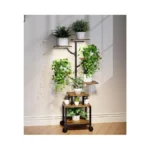 Verified image for post 301803