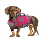 Verified image for post 301931