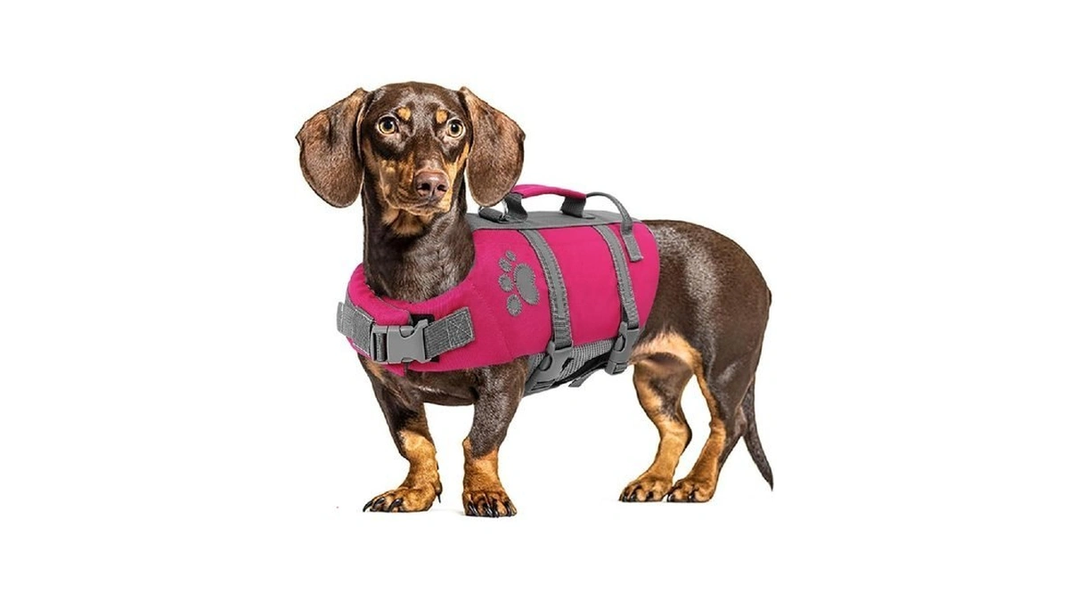 Verified image for post 301931