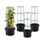 Verified image for post 302113