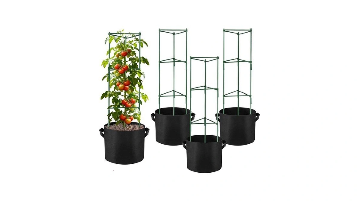 Verified image for post 302113